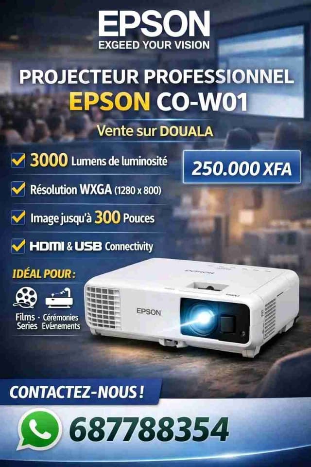 Projecteur EPSON CO-W01