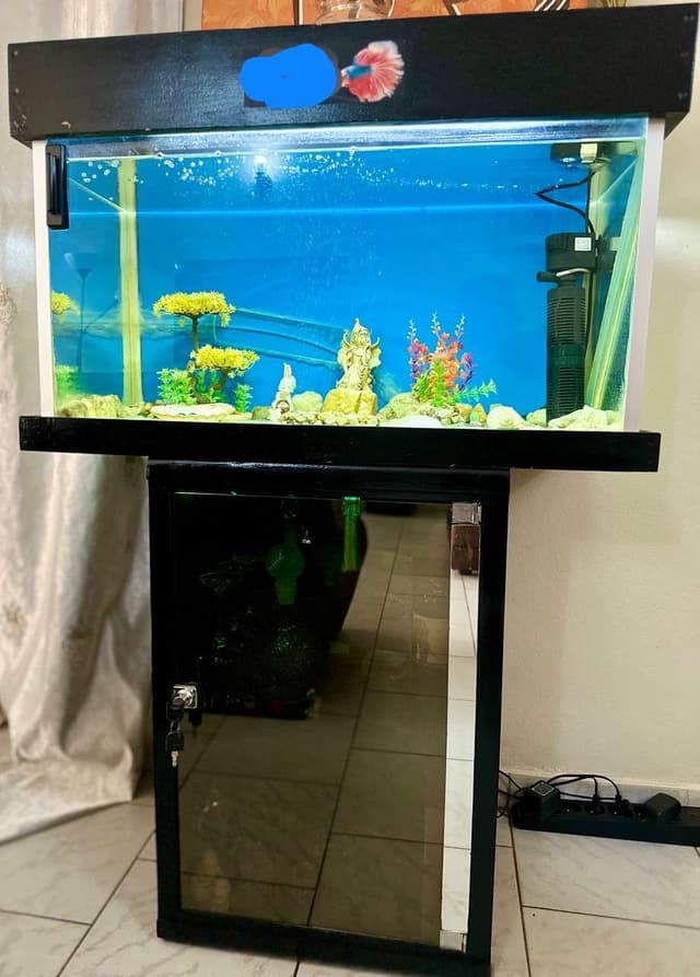 Aquarium complet