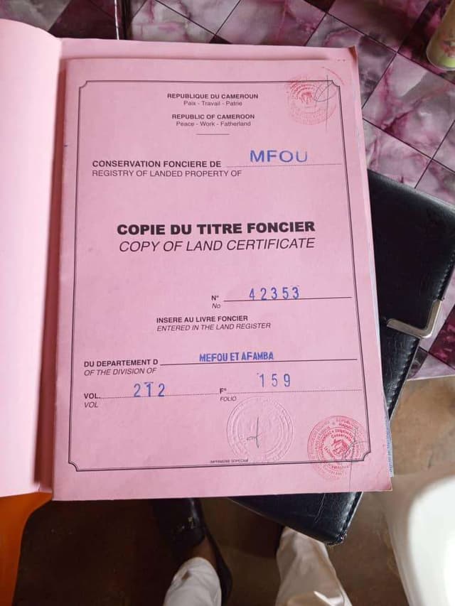 Terrain à vendre dans la localité de Mfou