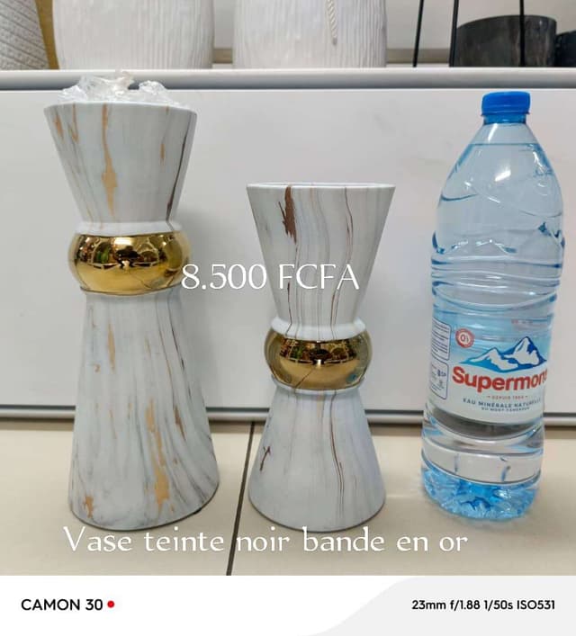 Pots de fleurs et vases