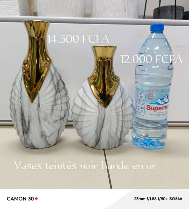 Pots de fleurs et vases