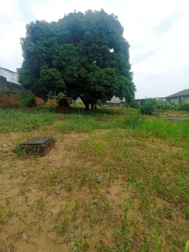 Terrain en location