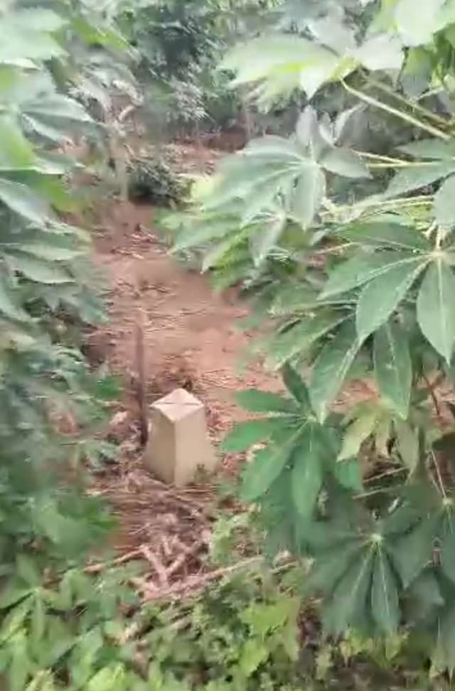 VENTE DES LOTS À BINGERVILLE