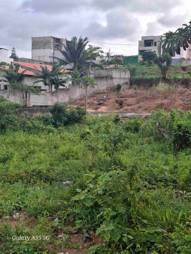 Vente terrain 450m² avec Acd individuel Bingerville AKANDJE