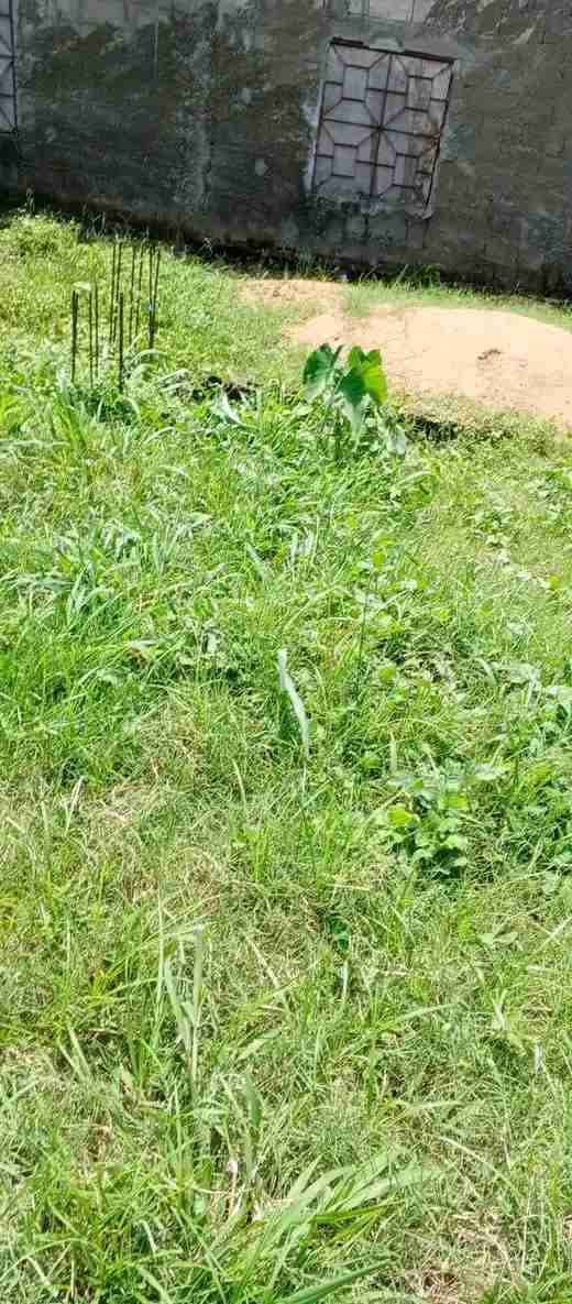 Terrain à vendre.Ville: Douala Quartier : JapomaLieu: carrefour TokoSuperficie : 160m² titré avec une fondation de R1.Prix: 5 millions Contact : 695174723 / 673093440