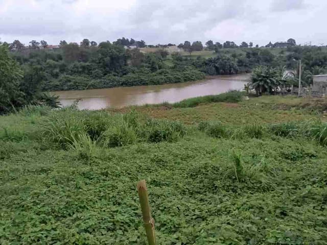 Vente terrain