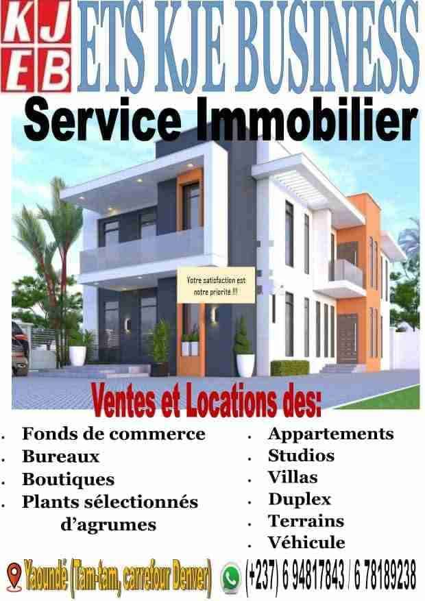Offres immobilières exceptionnel de la ville de Yaoundé