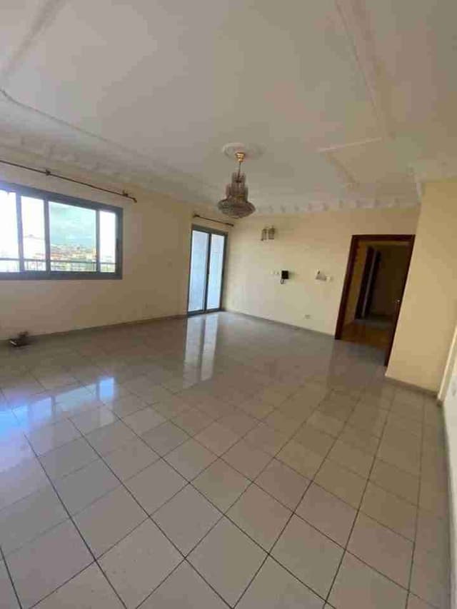 Magnifique Appartement a Bonapriso