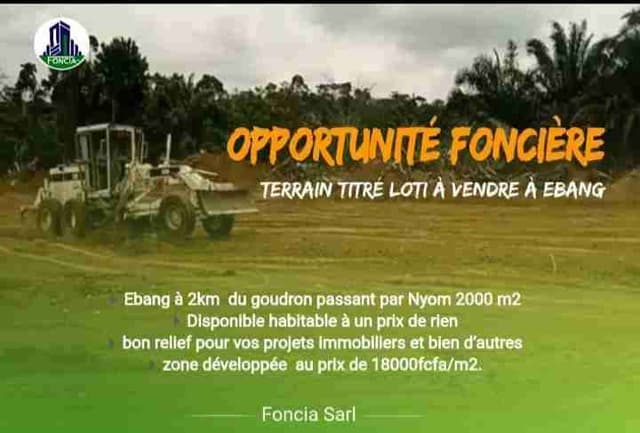 Terrain titré et loti a Yaoundé-ebang