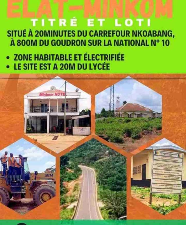 Terrain titré et loti à Elat par Nkoabang
