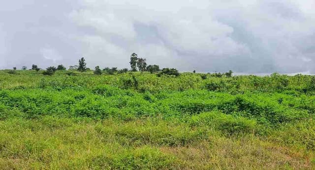 Terrain en vente à SONGON