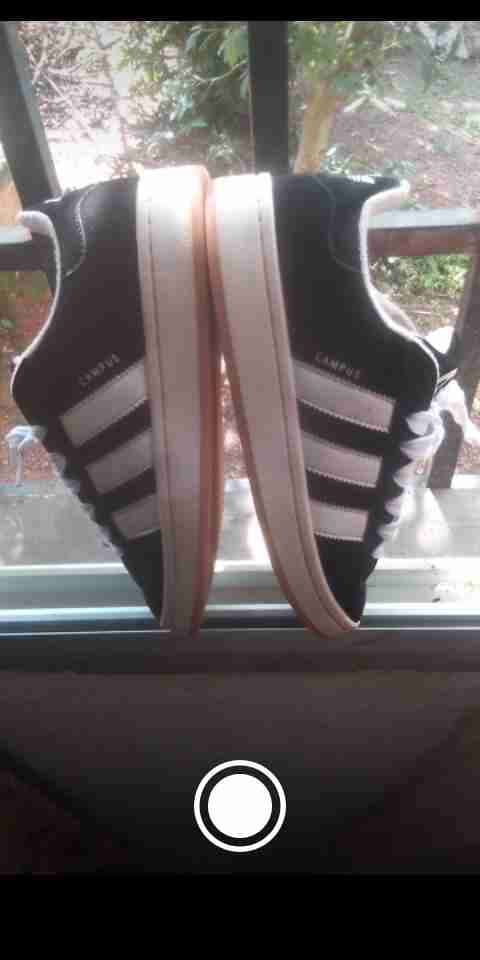 Campus adidas