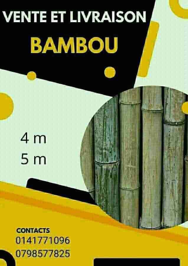 Bambou