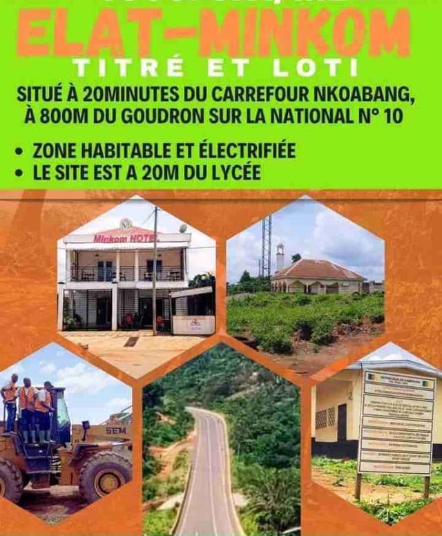 Terrain titré et loti à Elat par Nkoabang