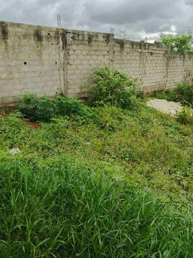 Terrain Plat En Vente