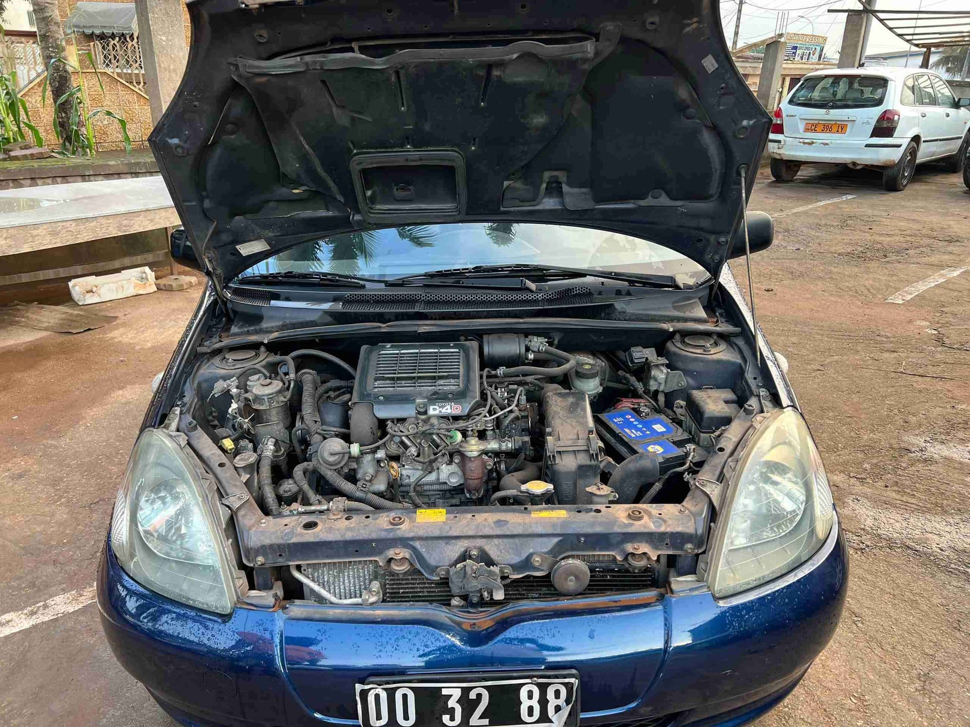 Product Detail