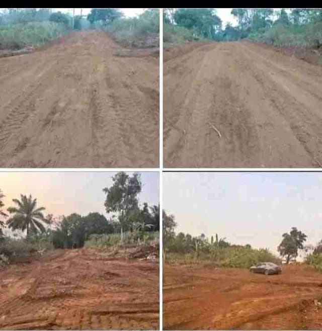 Terrain titré et loti à NKOLMEYANG par Nkoabang