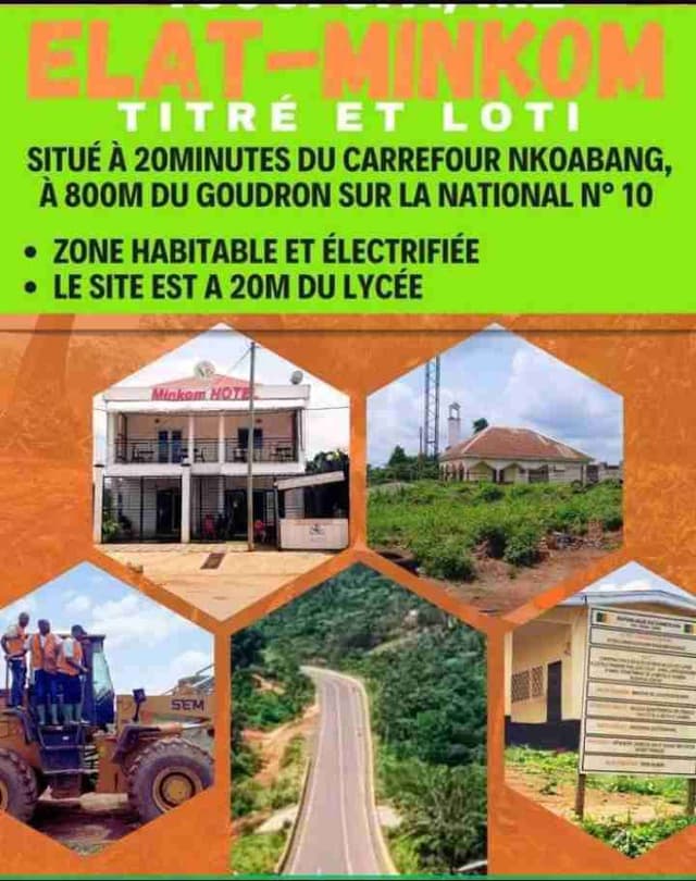 Terrain titré et loti à Elat par Nkoabang