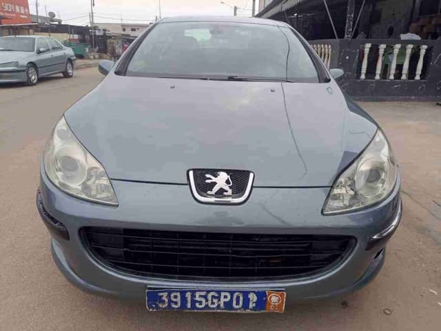 PEUGEOT 407