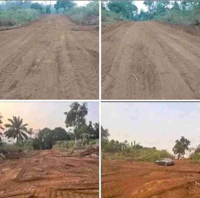 Terrain titré et loti à NKOLMEYANG par Nkoabang