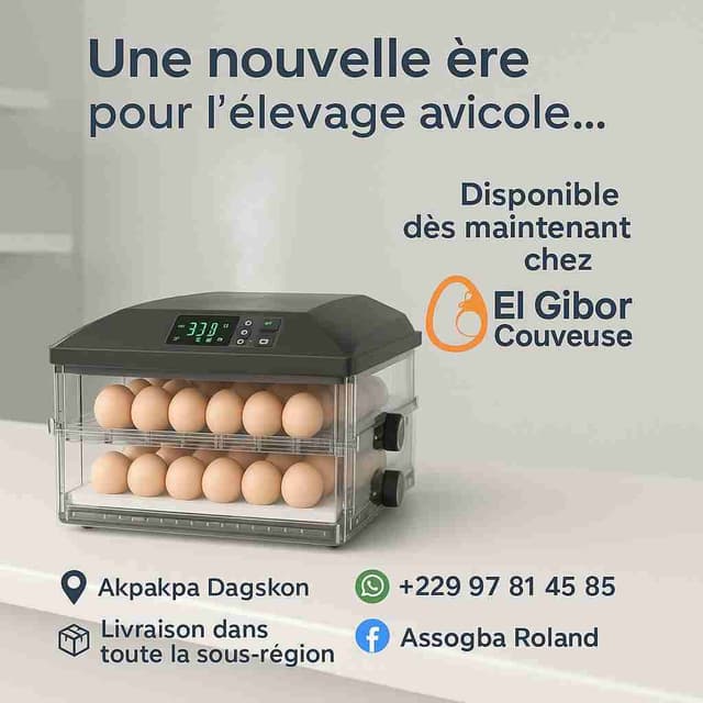 incubateurs d'oeuf importés