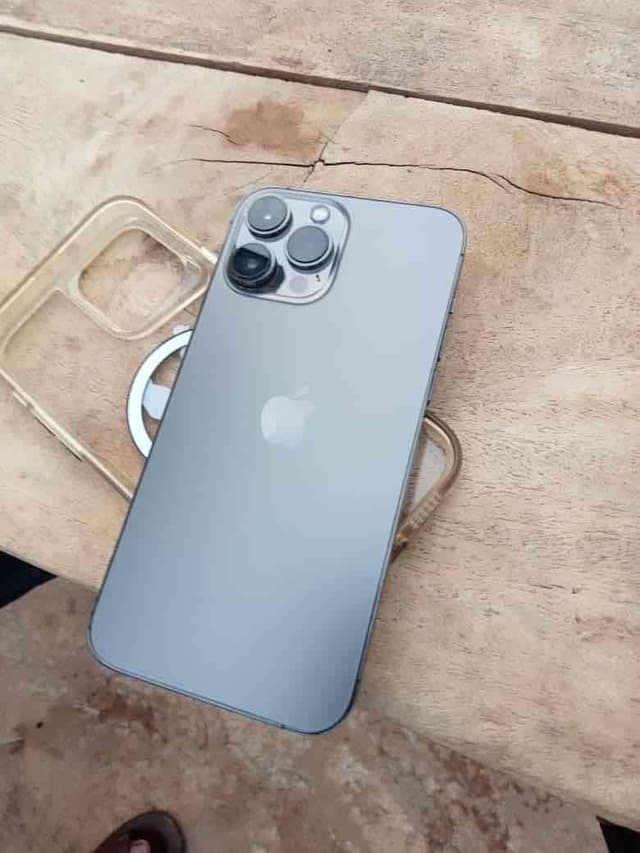 iPhone 13 Pro Max
