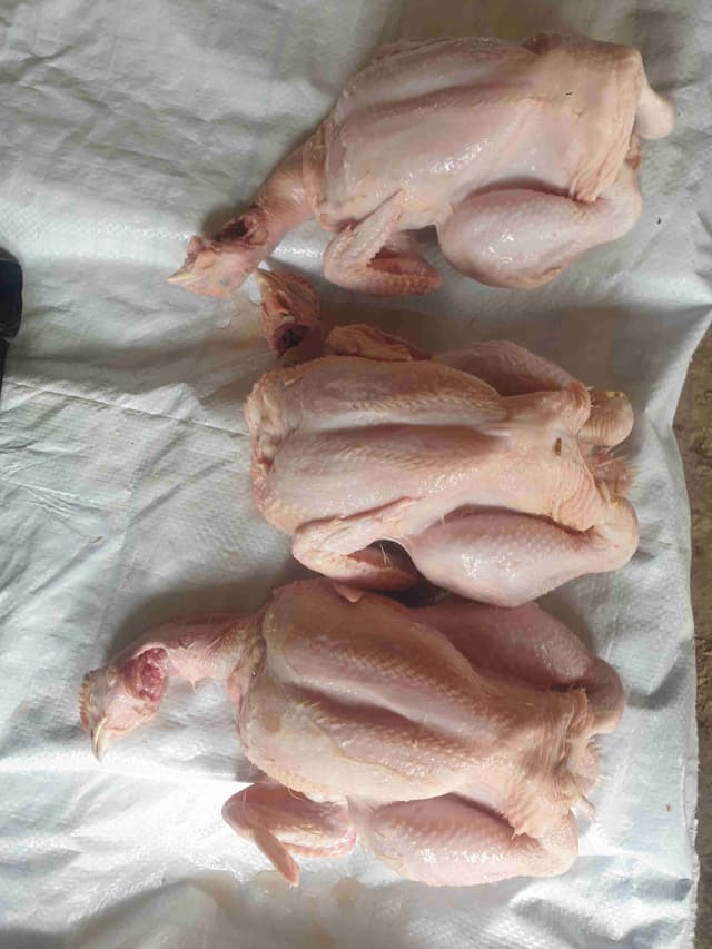 Vente de poulet