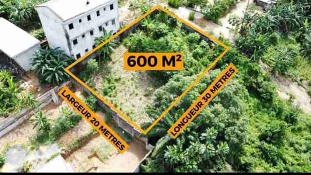 Terrain titré a vendre a japoma