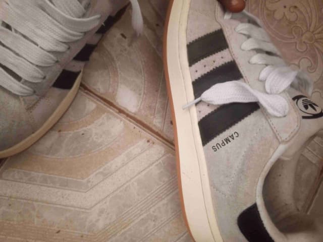 Adidas campus