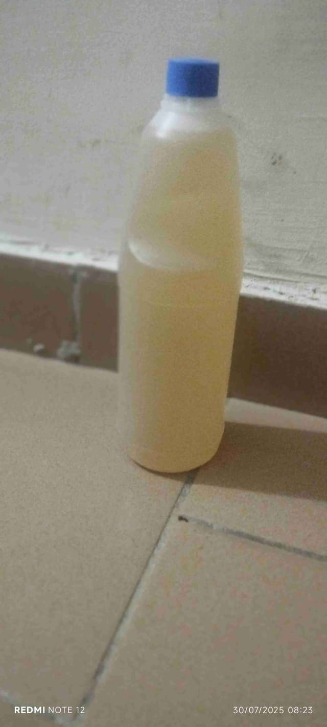 Huile de coco bio