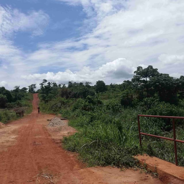 terrain à vendre Yaoundé (Akak1)
