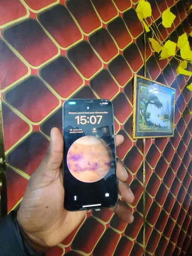 iPhone 12 Pro Max