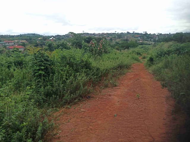 Location de terrains
