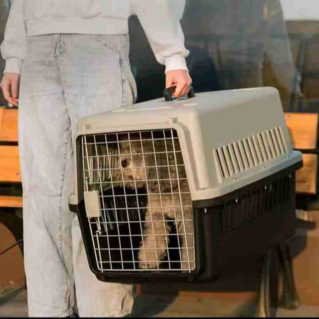 Casse de transport pour animal de compagnie