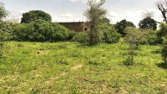 Terrain de 225 m2 à vendre à Gandigal Sénégal