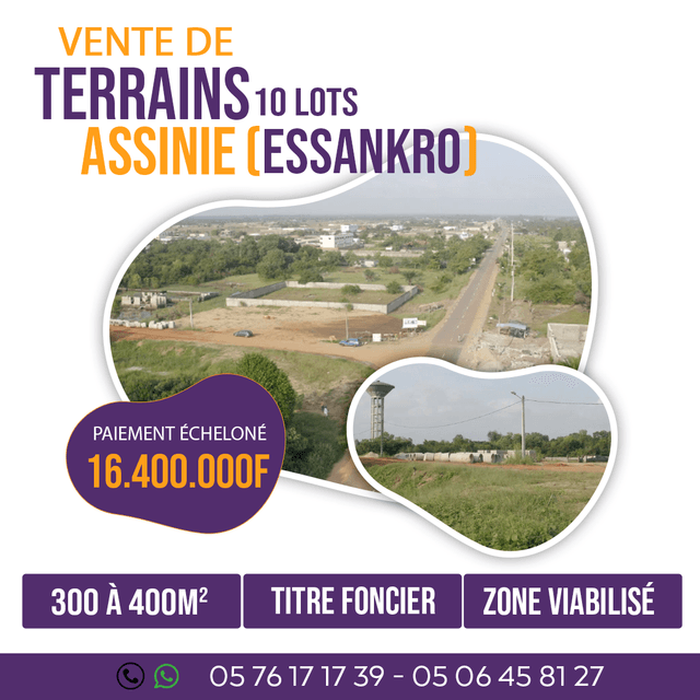 TERRAIN  ASSSINIE