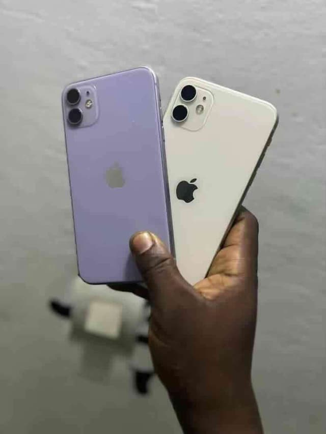IPhone 11 quasi disponible en plusieurs couleurs