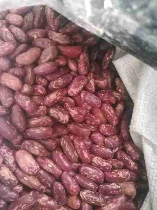 Beans and Irish