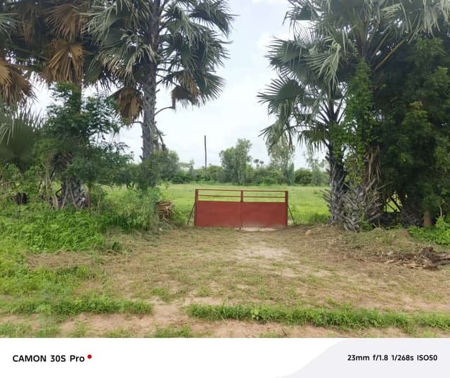 Ferme agricole à vendre à Nguéniène Ndofane Sénégal