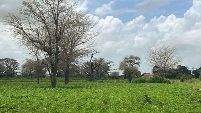 Terrain de 300 mètres carrés à vendre à Malicounda Sénégal