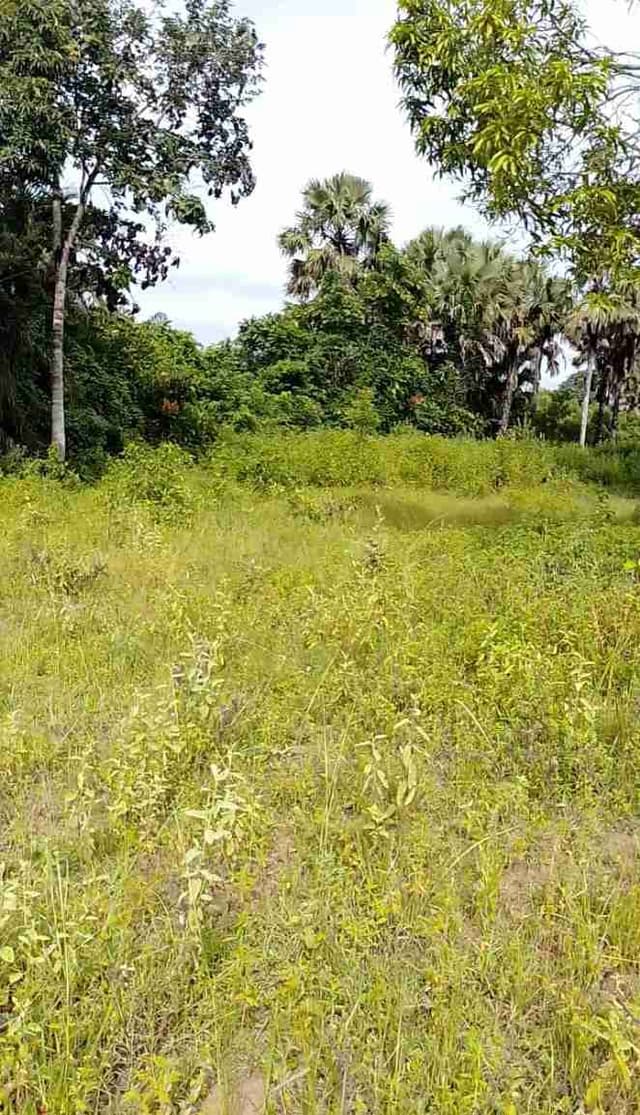 Terrain