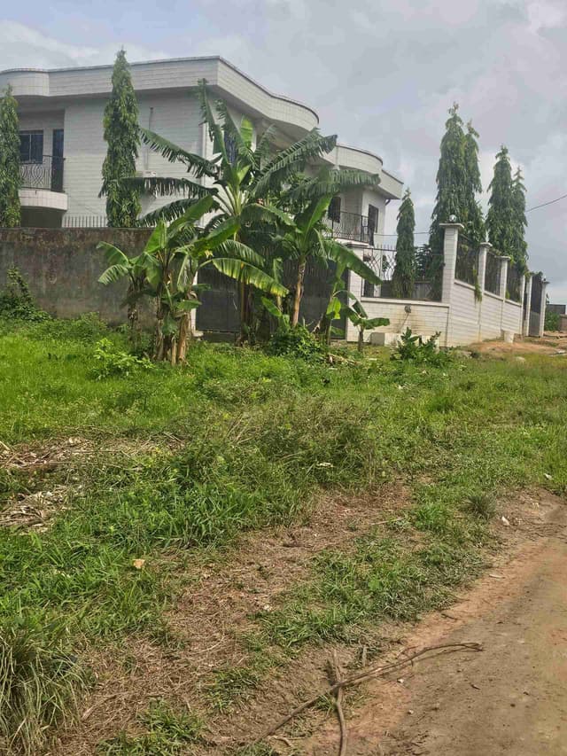 Terrain titré a vendre ngwan bakoko