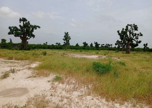 Terrains de 200 mètres carrés à vendre Thiès Sénégal