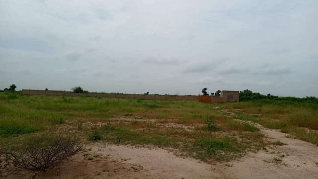 Terrains de 180 mètres carrés à vendre à Thiès Sénégal