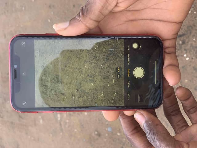 iPhone 11