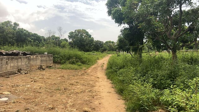 Terrain de 600 mètres carrés à vendre à Saly Sénégal