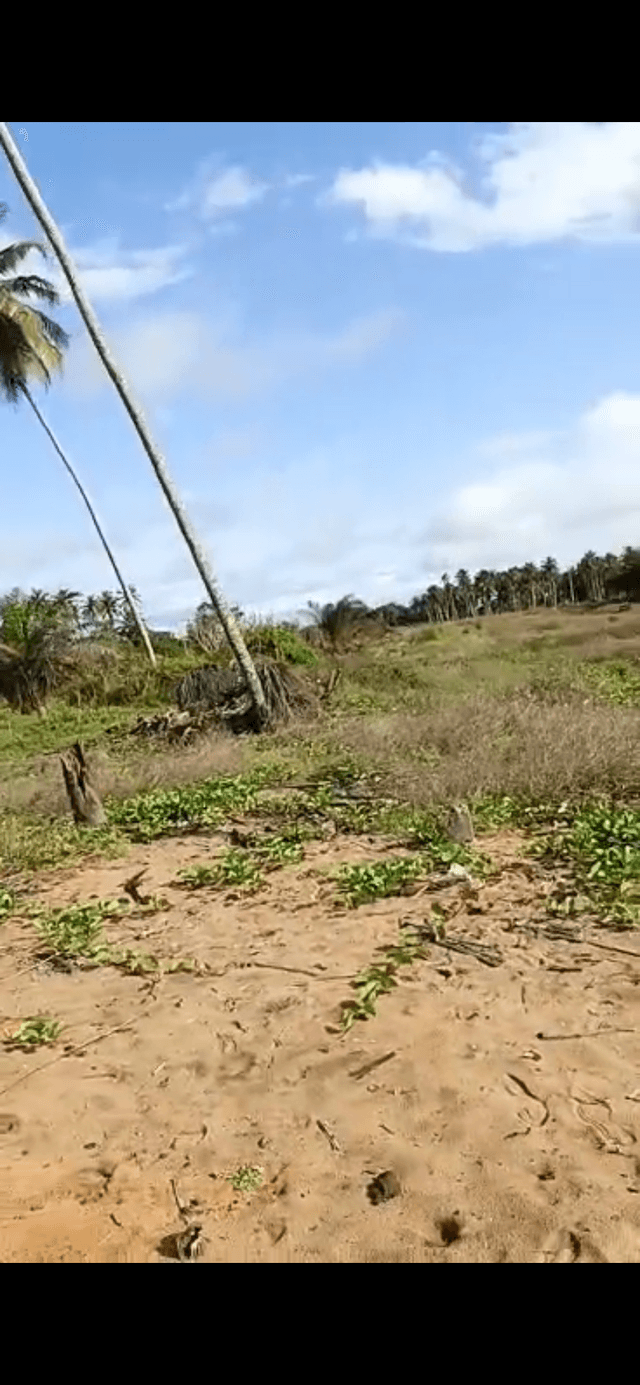 Terrain 1000m2