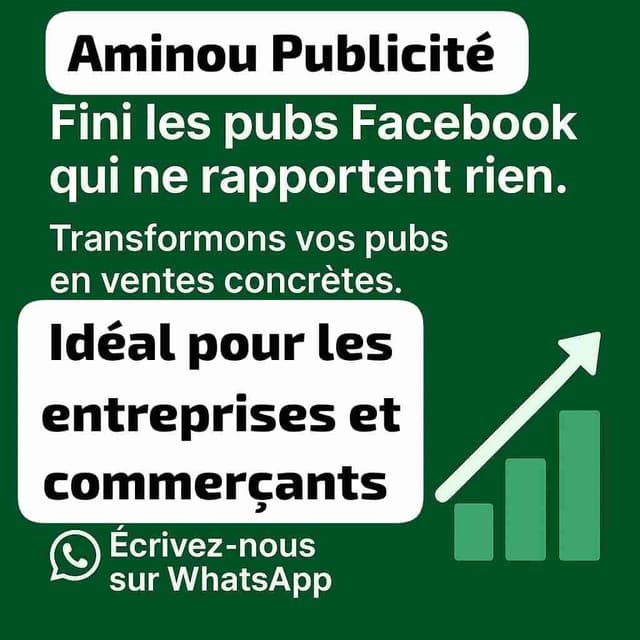Multiplie tes ventes avec la publicité Facebook ads (Idéal pour les entreprises et commerçants)