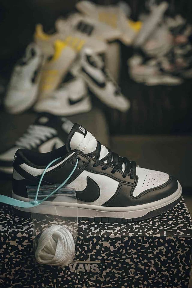Nike SB
