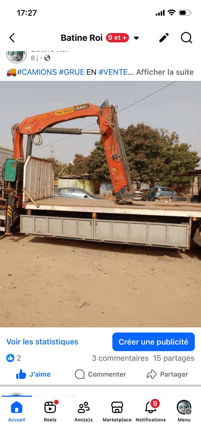 Camion grue en vente